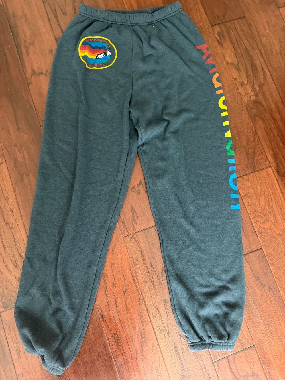Aviator Nation Venice Logo Sweatpants - Charcoal (XL)